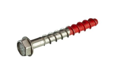 Screw Bolts